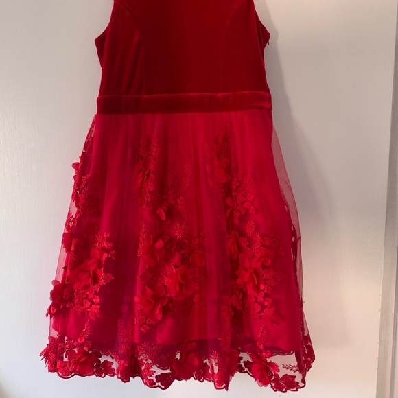 Fancy Party Dress with Velvet Bow and Roses - Picture 2 of 5